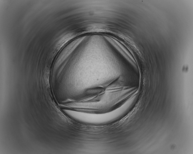 X0000097971273200804211002