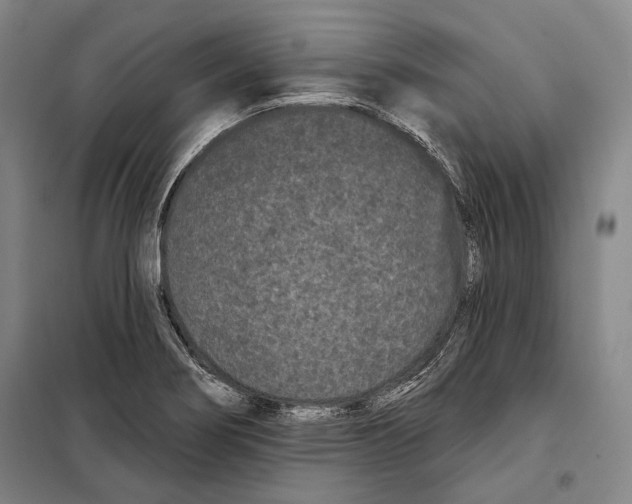 X0000097971274200804211002
