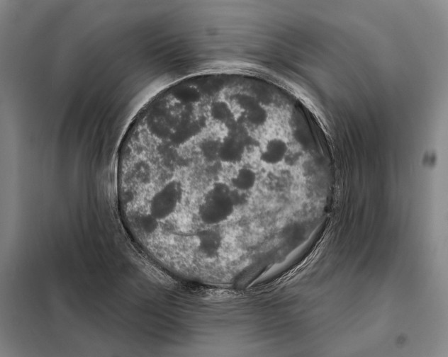 X0000097971275200804211002