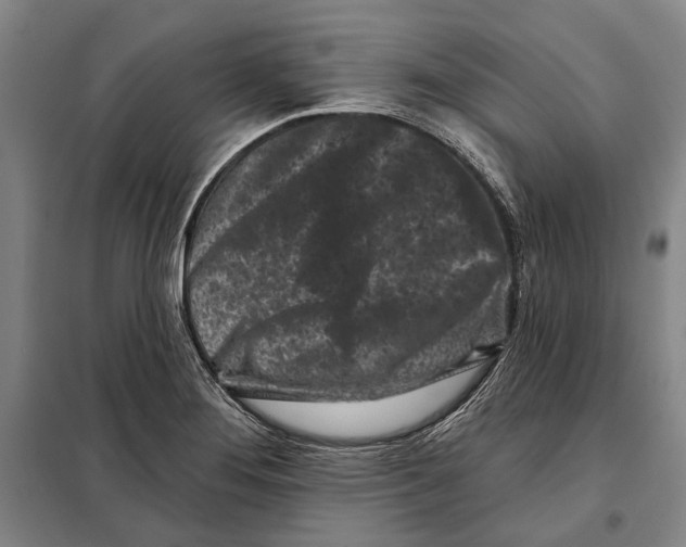 X0000097971276200804211002