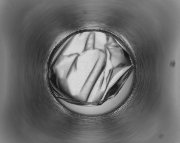 X0000097971277200804211002