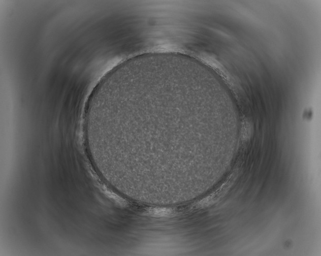 X0000097971278200804211002