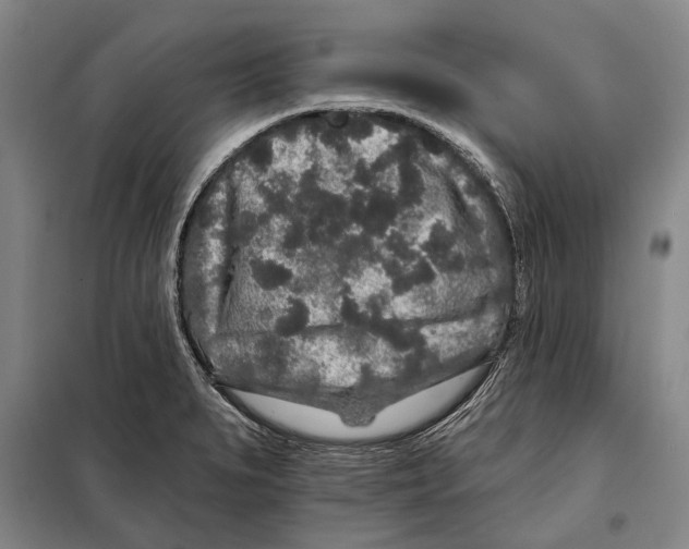 X0000097971279200804211002