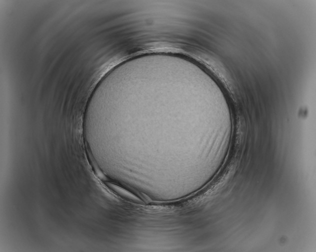 X0000097971281200804211002