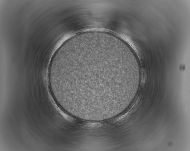 X0000097971282200804211002