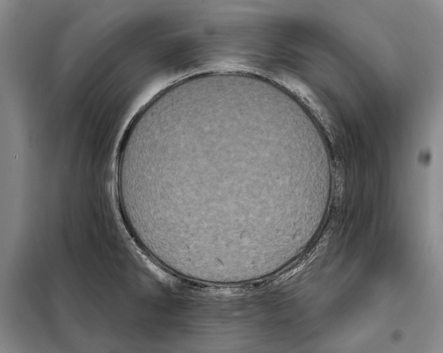 X0000097971286200804211002
