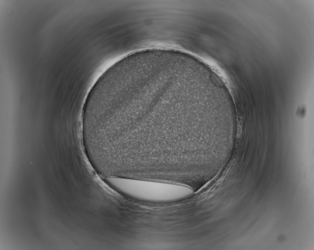 X0000097971287200804211002