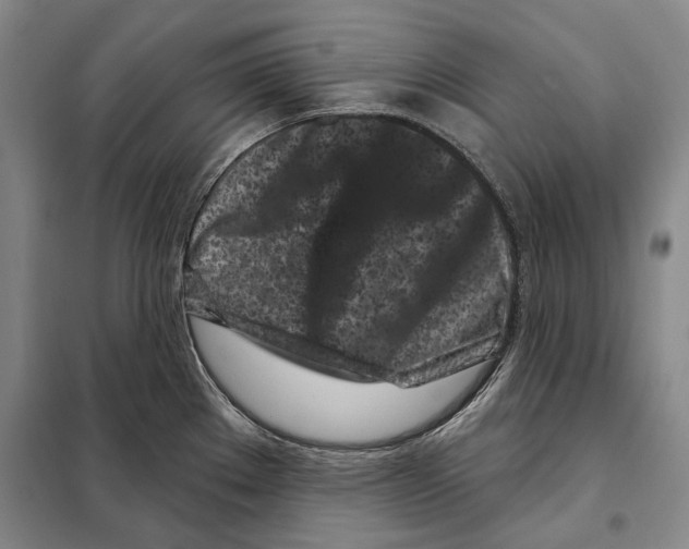 X0000097971289200804211002