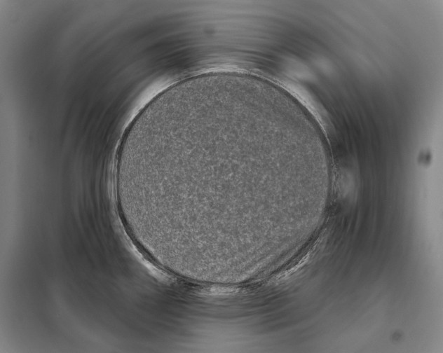 X0000097971290200804211002