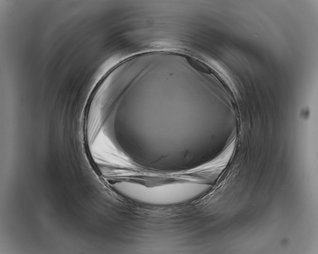 X0000097971291200804211002