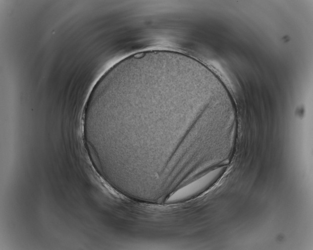 X0000097971292200804211002
