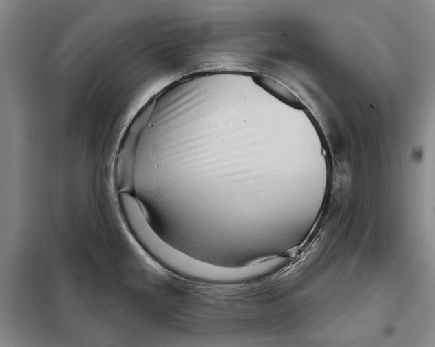 X0000097971293200804211001