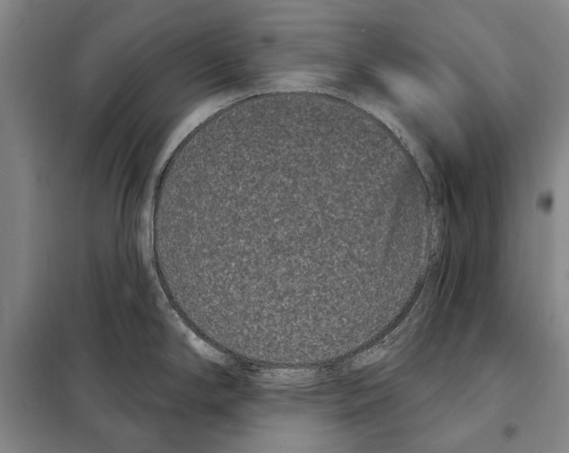 X0000097971294200804211001