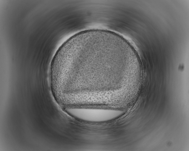 X0000097971295200804211001