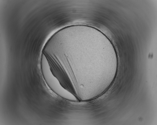 X0000097971296200804211001