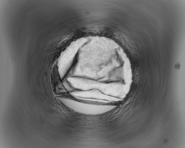 X0000097971297200804211001