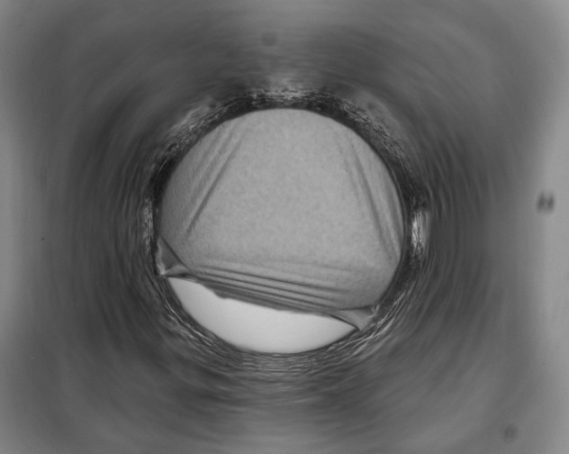 X0000097971299200804211001