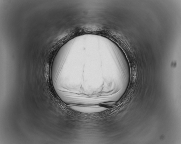 X0000097971301200804211001