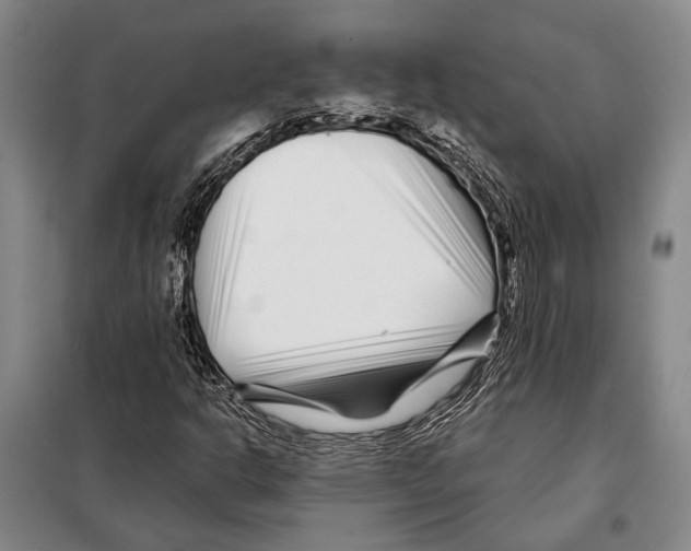 X0000097971302200804211001