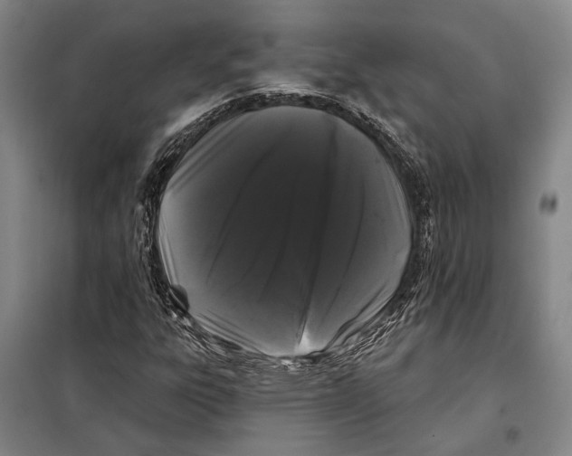 X0000097971303200804211001