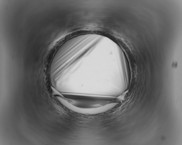 X0000097971304200804211001