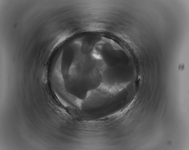 X0000097971306200804211001