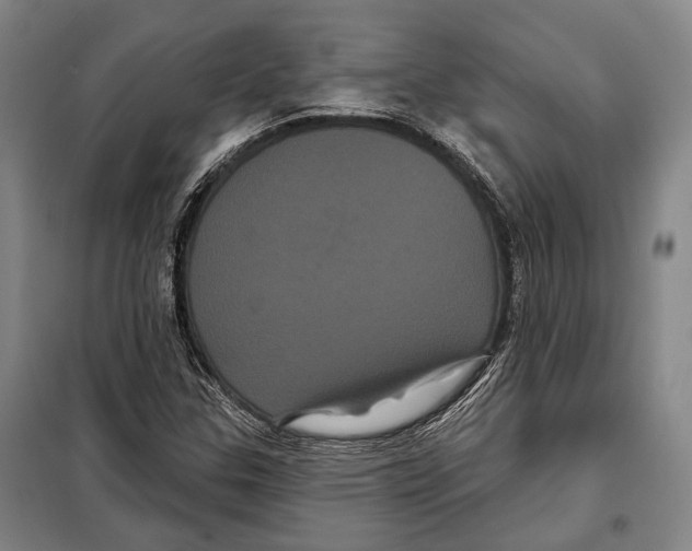 X0000097971307200804211001