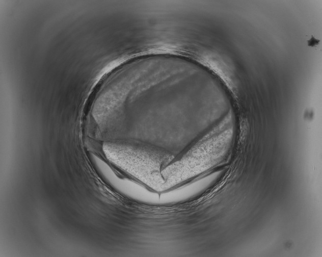 X0000097971308200804211001