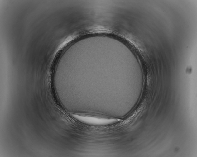 X0000097971309200804211001