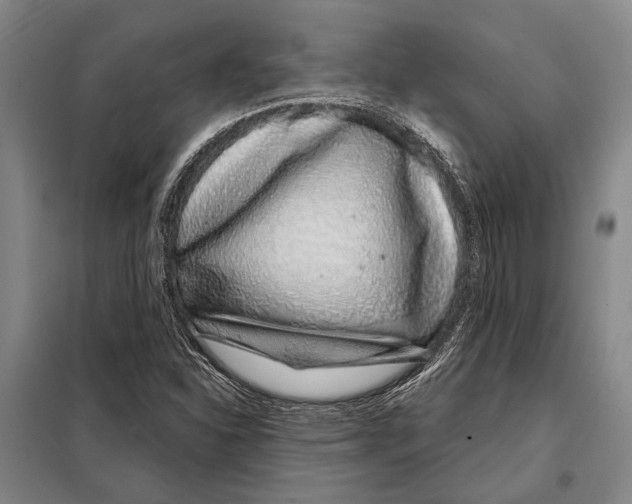 X0000097971310200804211001