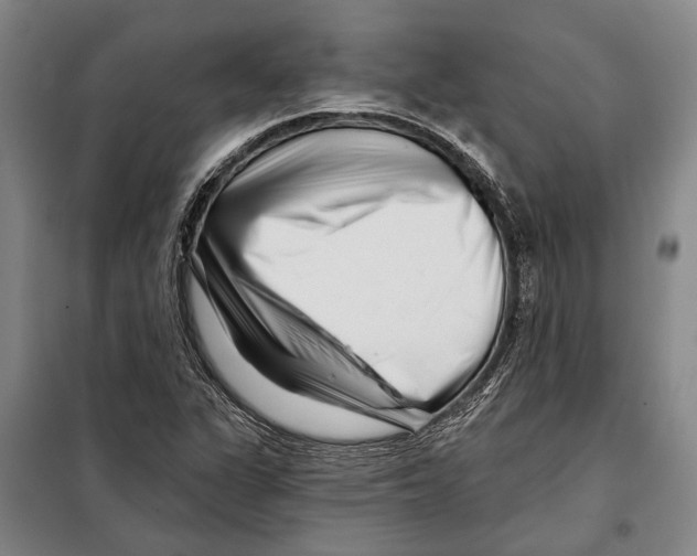 X0000097971311200804211001