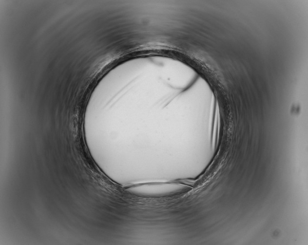 X0000097971313200804211001