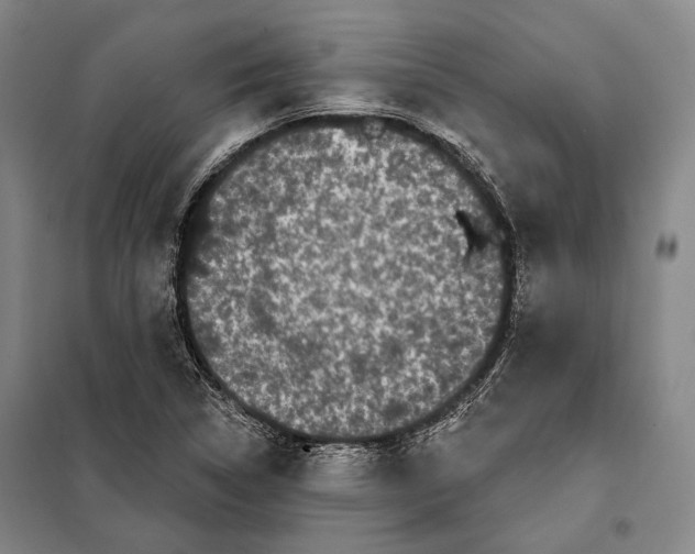 X0000097971314200804211001
