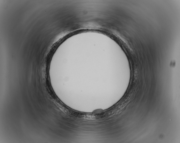 X0000097971315200804211001