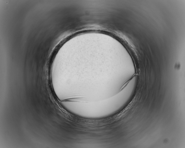 X0000097971318200804211001