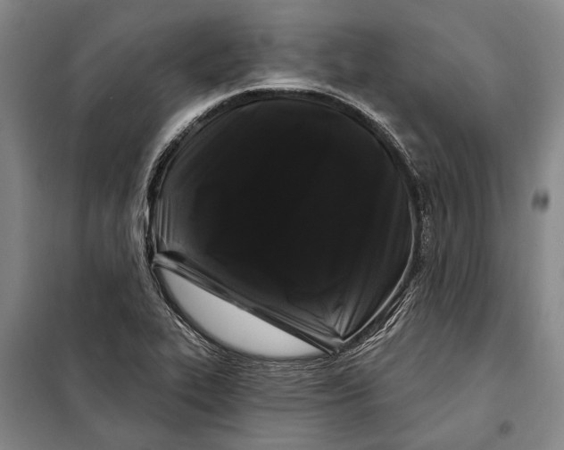 X0000097971319200804211001