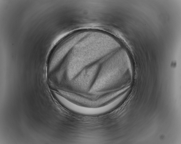X0000097971320200804211001
