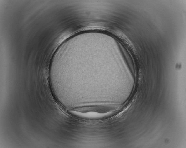 X0000097971321200804211001