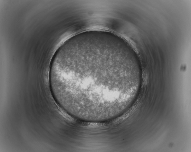 X0000097971322200804211001