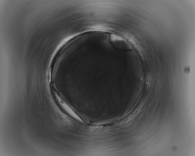 X0000097971323200804211001
