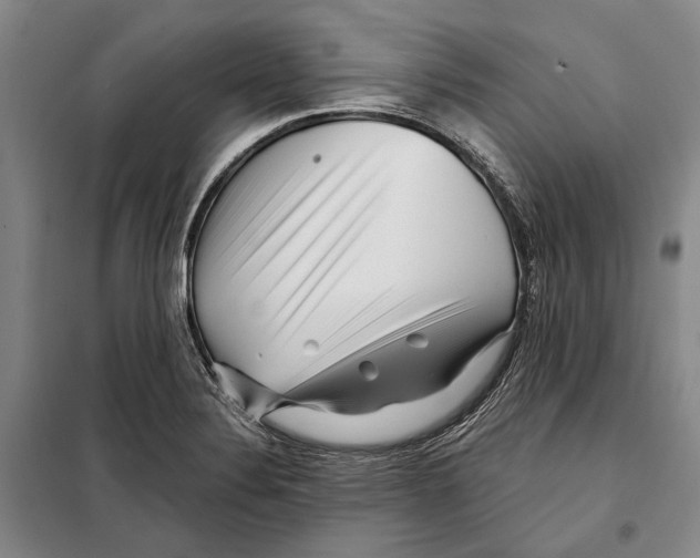 X0000097971324200804211001