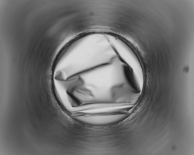 X0000097971325200804211001