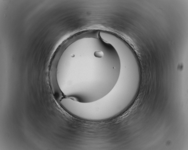 X0000097971326200804211001