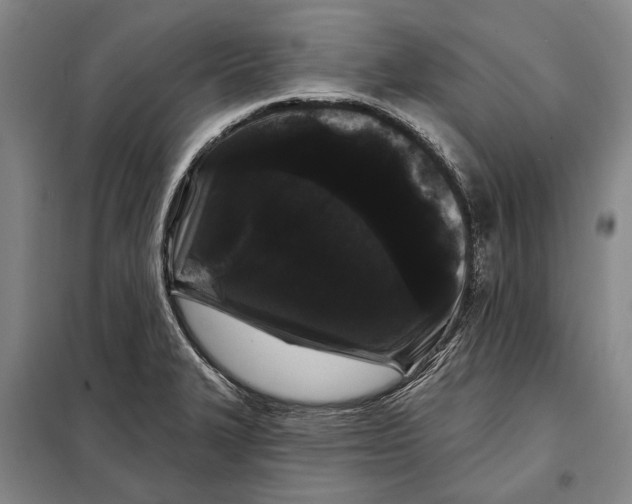 X0000097971327200804211001