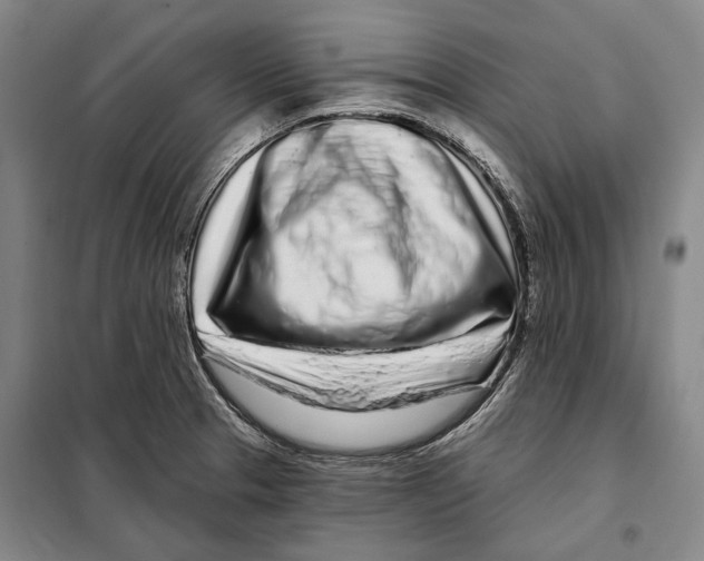 X0000097971329200804211001