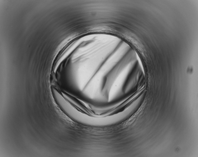 X0000097971330200804211001