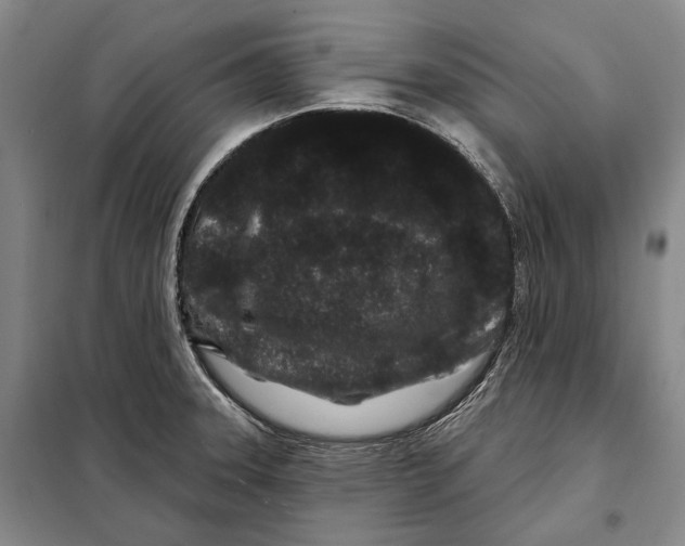 X0000097971331200804211001