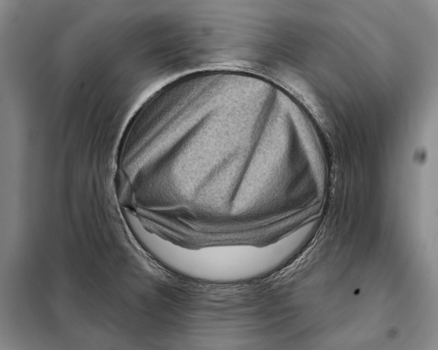 X0000097971332200804211001