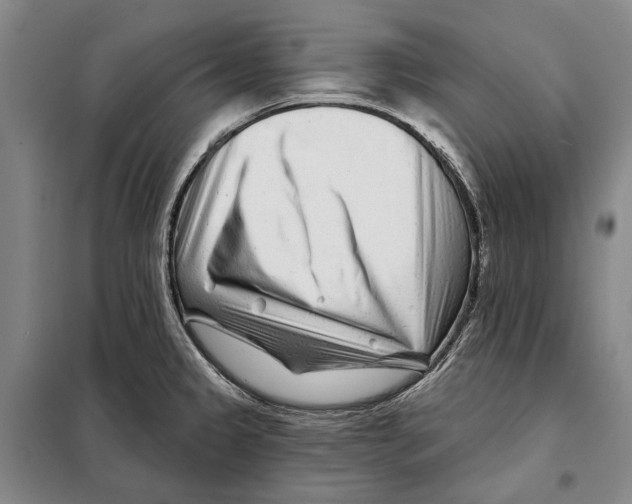 X0000097971333200804211001