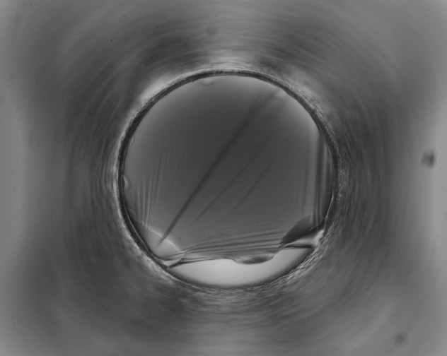 X0000097971334200804211001